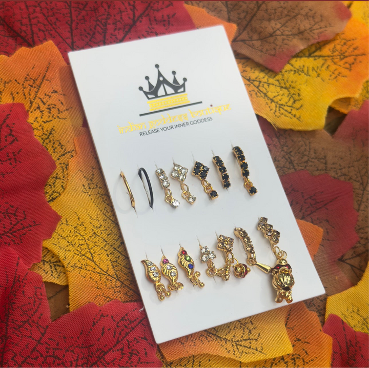 Fall Nose Ring Collection Set of 14